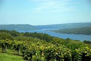 Retirement Living in Corning & the Southern Finger Lakes - New York