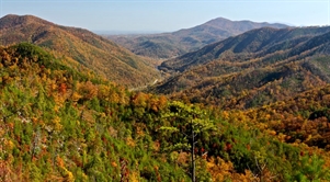 Retirement Living in Cocke County - Tennessee